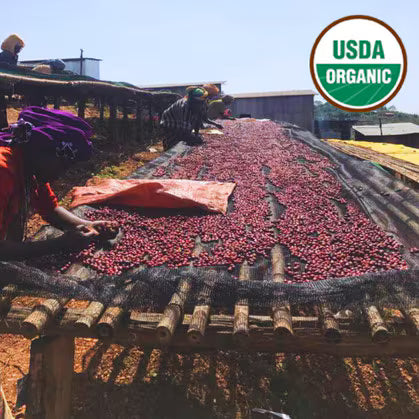 Sidama Ethiopia Natural-USDA Organic, Dark Roast