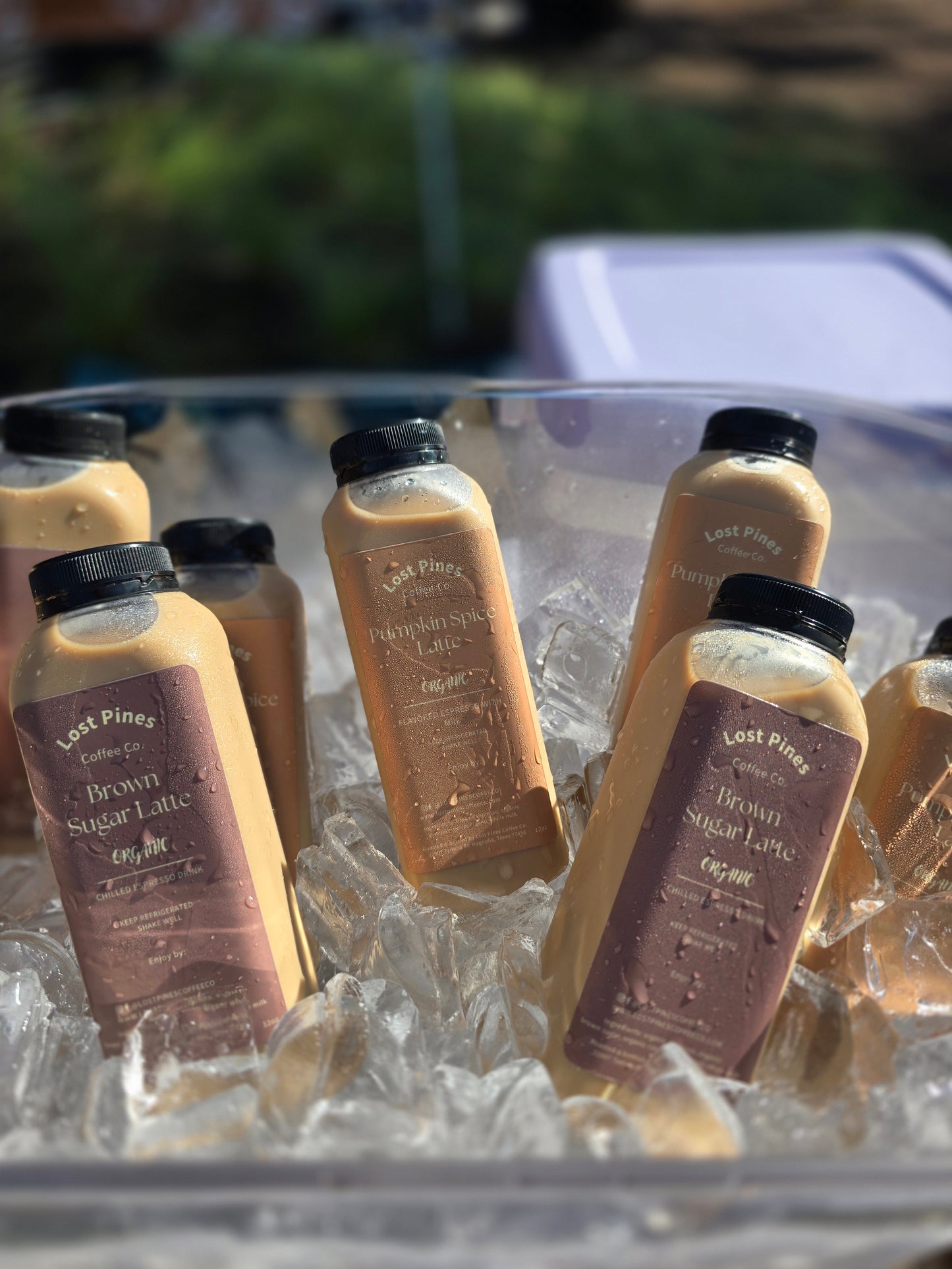 Brown Sugar Latte 12oz., Organic