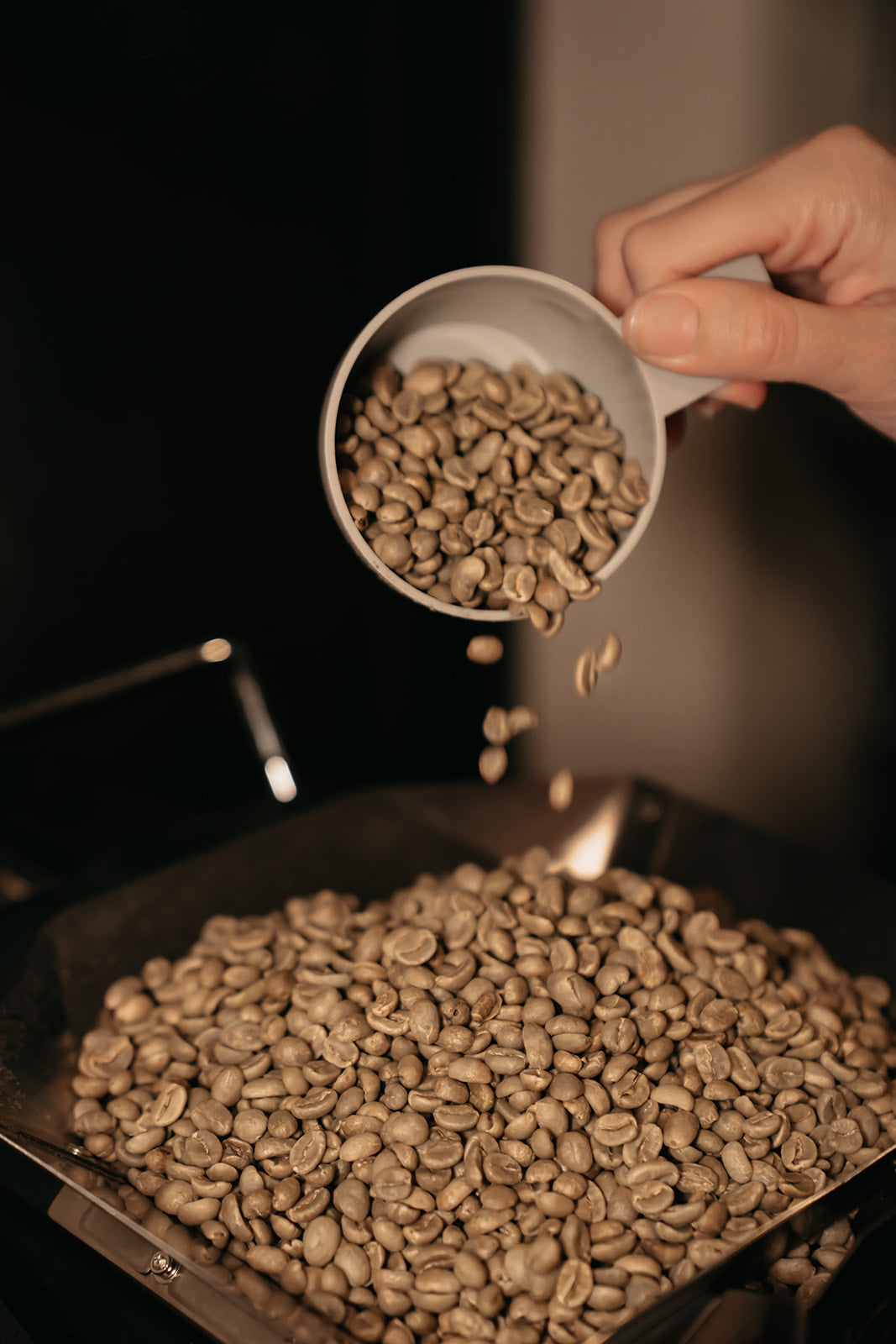 Coto Brus, Costa Rica - USDA Organic, Medium Roast 12 OZ